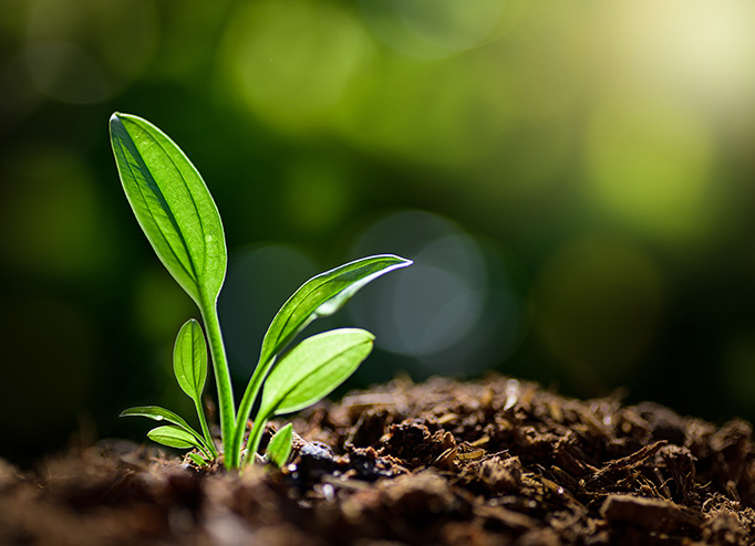 中国·必发集团(股份)有限公司-官方网站